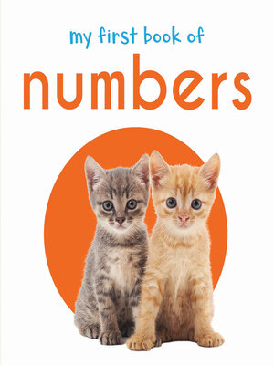 cover image of My First Book of Numbers